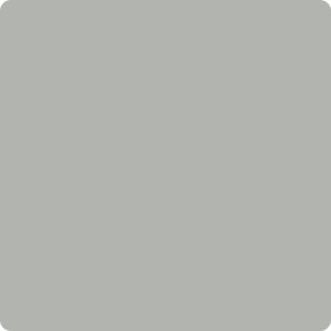 Ash Gray